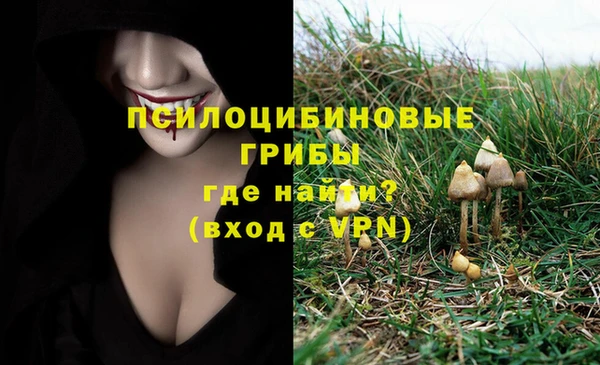 спиды Сим