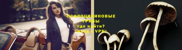 трава Сковородино