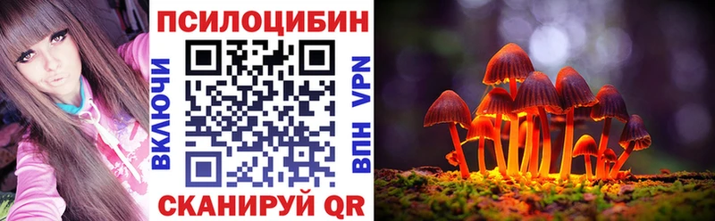 Галлюциногенные грибы Psilocybine cubensis Новочебоксарск