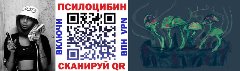 дарк нет наркотические препараты Новочебоксарск Псилоцибиновые грибы Magic Shrooms