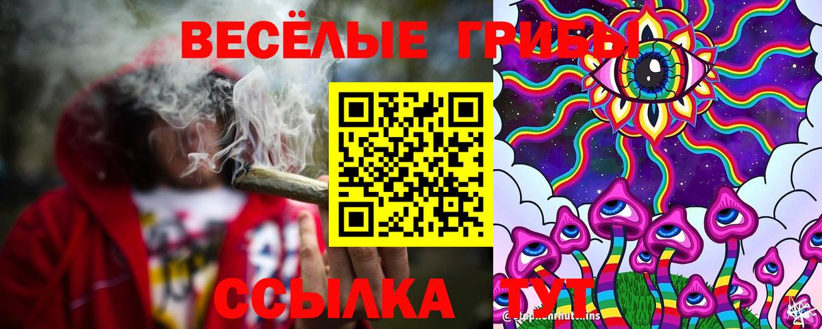 Галлюциногенные грибы ЛСД Новочебоксарск