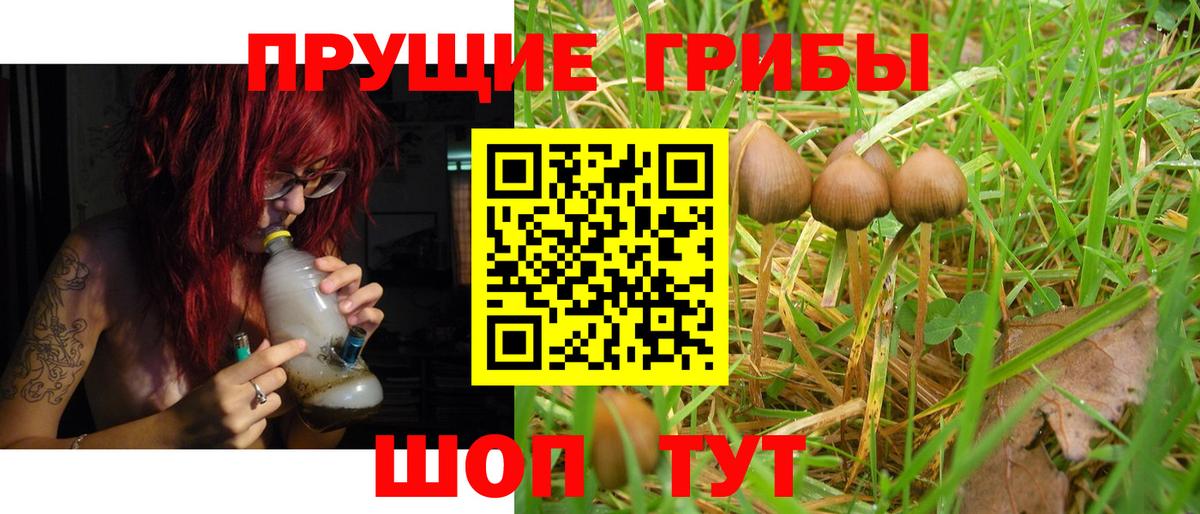 Новочебоксарск  как найти наркотики  Вход с VPN  Псилоцибиновые грибы Cubensis 